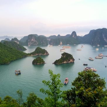Nature’s cocktail – Ha Long Bay view from Ti Top Island